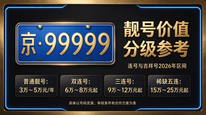 闲置车牌指标办理实景